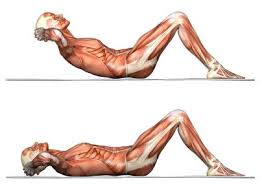 przekrój ludzkiej sylwetki z widocznymi mięśniami w trakcie wykonywania ćwiczeń-brzuszków